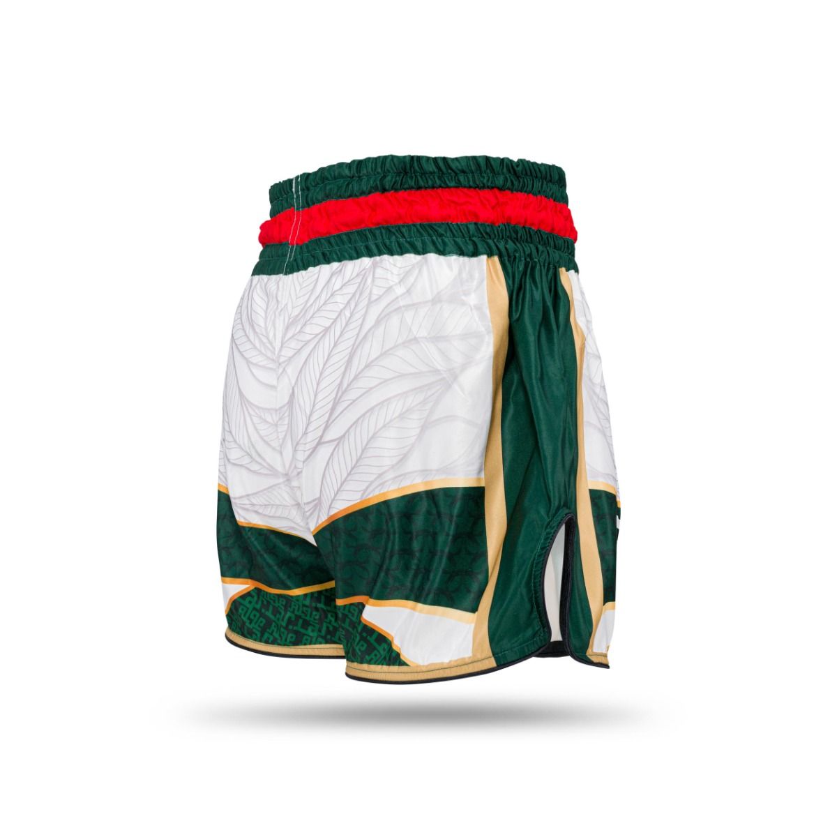 Short de boxe, Algérie TBT COUNTRY