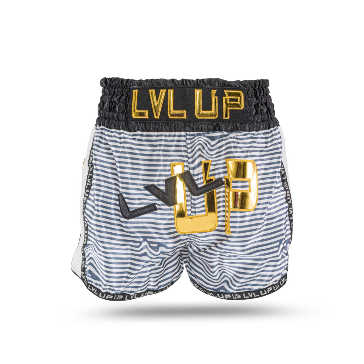 LVL UP FLASH 1